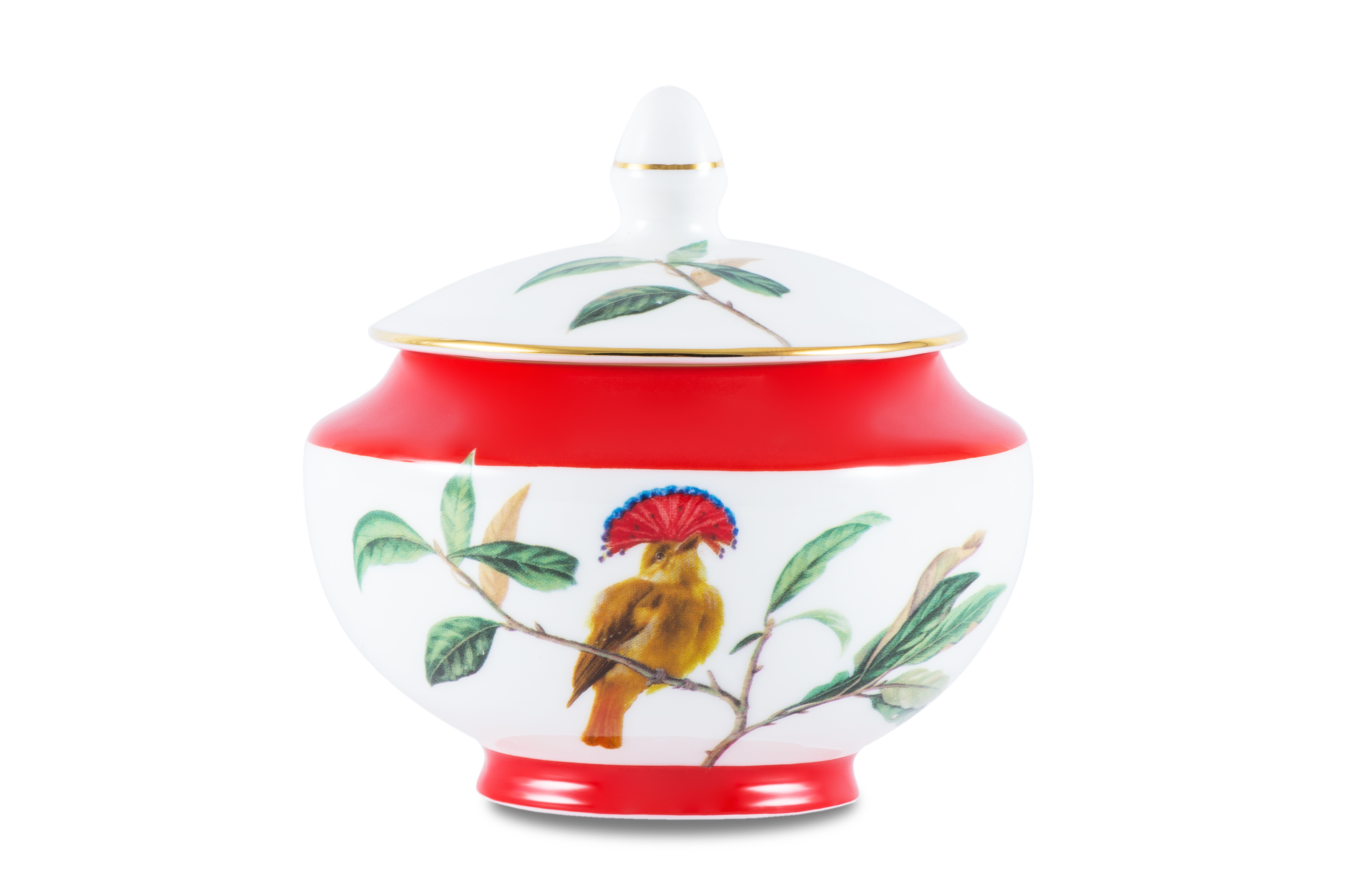 Чайный сервиз Gipfel Asia 3948 фото