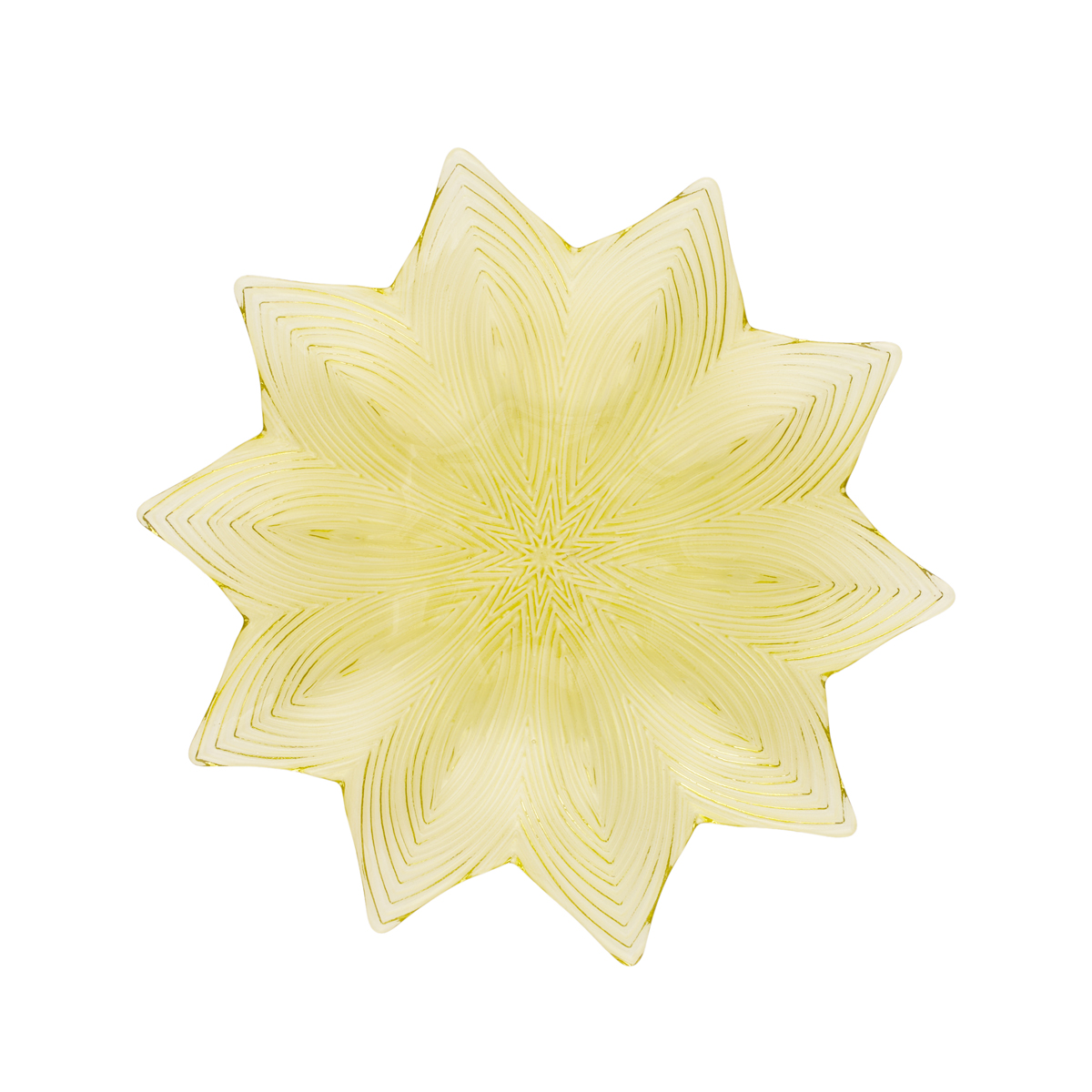 Тарелка обеденная Gipfel Cactus 41421 24,5 см фото