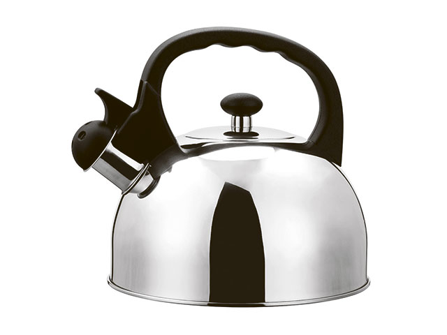 Чайник для плиты Gipfel Hugo 0622 2,5 л фото