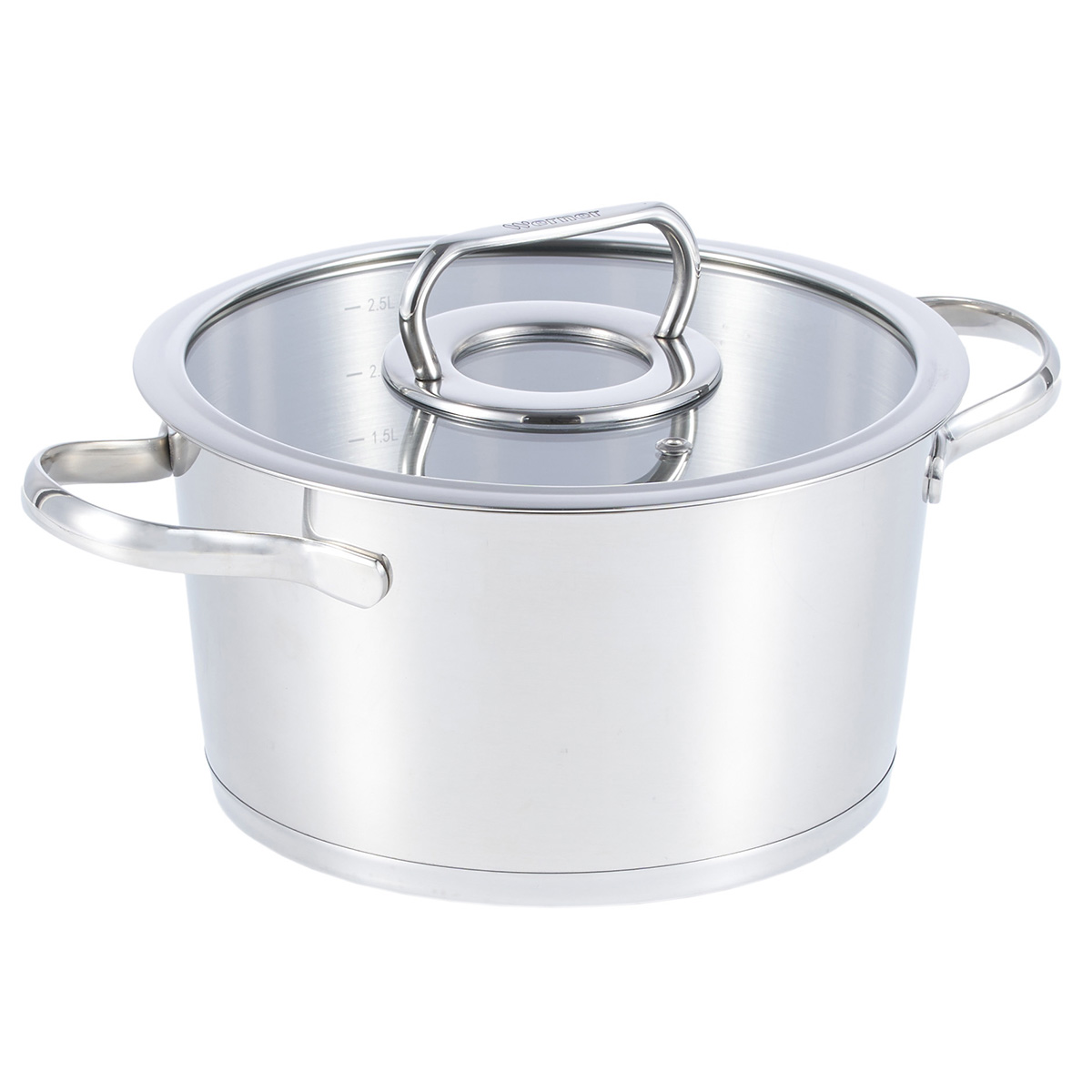 Кастрюля из нержавеющей стали Werner Nice 50313 20 см/3,1 л фото