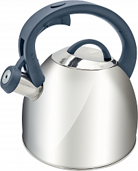 Чайник из нержавеющей стали Gipfel 8637 2,5 л